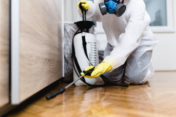 Best Pest Control Near Me in Edgewater, FL