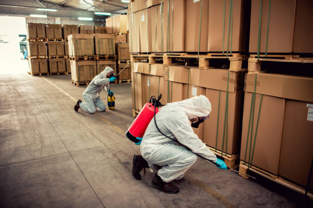 Best Pest Inspection Near Me  in Edgewater, FL