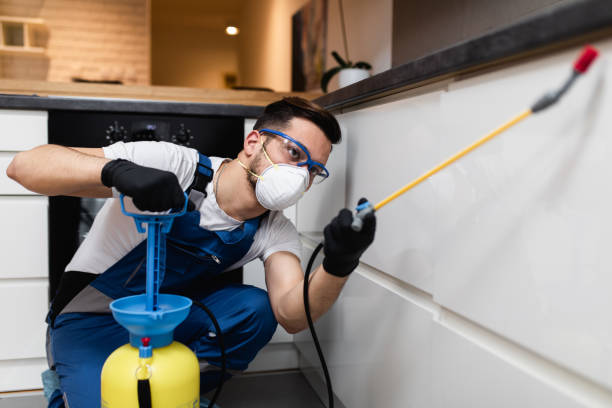 Best Best Pest Control Companies  in Edgewater, FL