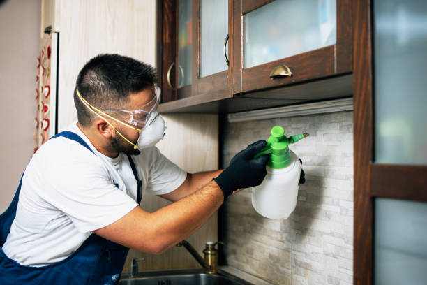Best Pest Prevention Services  in Edgewater, FL