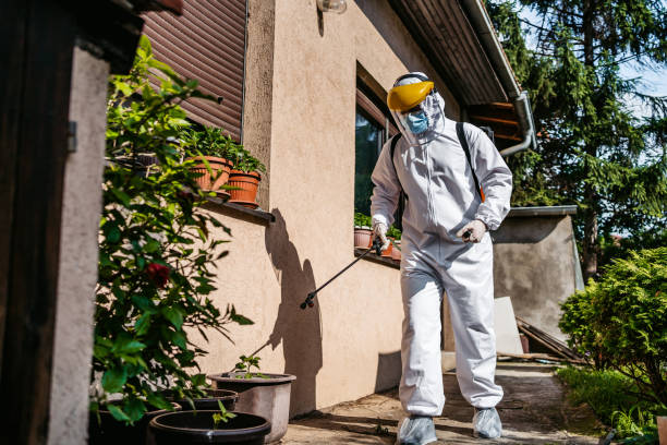 Best Affordable Pest Control Services  in Edgewater, FL