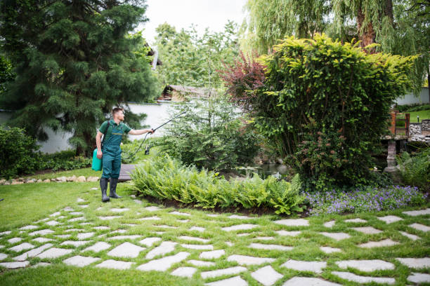 Best Affordable Pest Control Services  in Edgewater, FL