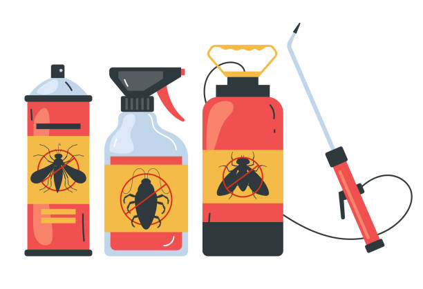 Best Termite Control Services  in Edgewater, FL