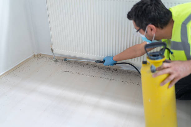 Best Pest Control Near Me  in Edgewater, FL