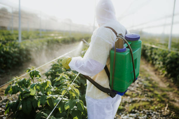 Best Emergency Pest Control  in Edgewater, FL
